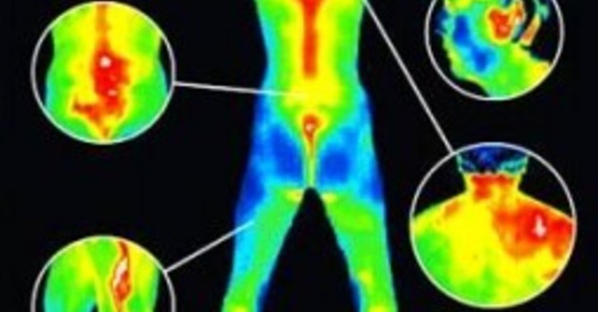 Digital Infrared Thermography